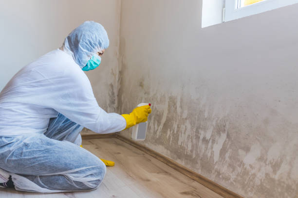 Licensed Commercial Mold Remediation service in Beverly, NJ - WQB Mold Removal