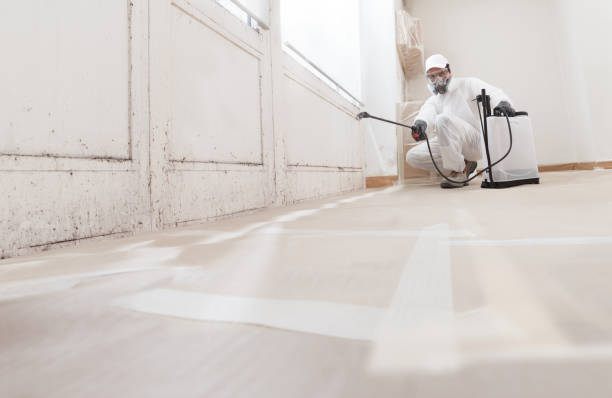 Trusted Commercial Mold Remediation service in Beverly, NJ - WQB Mold Removal