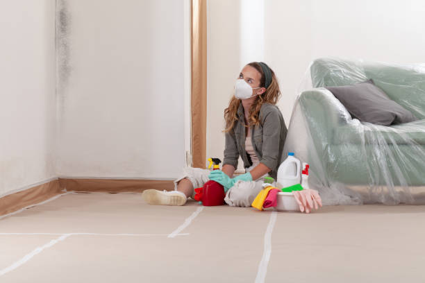 Reliable Commercial Mold Remediation contractor in Beverly, NJ by WQB Mold Removal